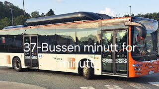 37Bussen minutt for minutt 🇧🇻 [upl. by Ynohtna]