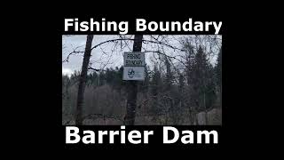 Fishing BoundaryBarrier DamCowlitz River [upl. by Norrat58]