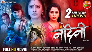 Nandini  नंदिनी   FullMovie  Gaurav Jha SanchitaBanerjee RichaDixit  New Bhojpuri Film [upl. by Eiroc380]