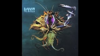 Ween  The Mollusk Sessions  Kim Smoltz [upl. by Affay]