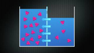 Diffusion Osmosis and Tonicity [upl. by Esinaej426]