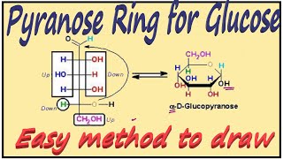 Cyclic Structure of Glucose  Pyranose Ring for Glucose  Carbohydrates [upl. by Kaz]