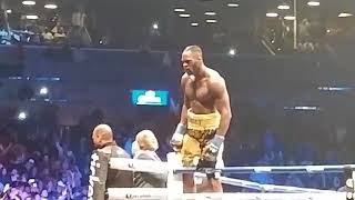 DEONTAY WILDER VS BERMANE STIVERNE FULL FIGHT HD  VIEW FROM THE PUBLIC [upl. by Natasha129]