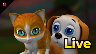 🔴 LIVE STREAM 🎬 Malayalam Cartoon Live ☃️ Kathu Pupi Manjadi Banu Bablu 🦁 for Kids [upl. by Lamphere]