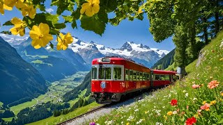 World’s Most Scenic Train Journey in Switzerland  Schynige Platte  Top of Swiss Tradition [upl. by Hakkeber]