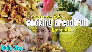 Cooking Breadfruit  Kulo [upl. by Urissa]