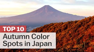 Autumn Leaves at Eikando Temple in Kyoto Japan  Beautiful Fall Foliage and Japanese Garden 4K [upl. by Sihun718]