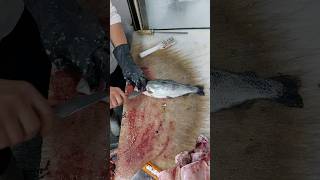 Amazing fresh TROUT cleaning amp cutting [upl. by Anaoj]