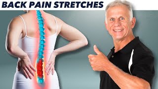 Absolute Best 10 Stretches For Back Pain amp Perfect Posture [upl. by Elleinod398]