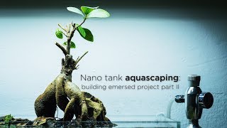 Nano aquarium building EMERSED PROJECT  PART 2 [upl. by Asenav]