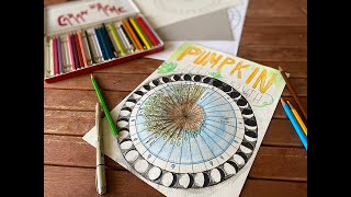 How To Make A Moon Phenology Wheel [upl. by Nodnarbal]