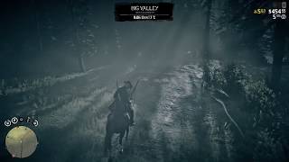 Red Dead Online Diablo Ridge Treasure Map Location [upl. by Lorens851]