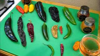 All About Chilies What you need to know S1 Ep177 [upl. by Singh209]