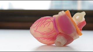 Artificial Organs The Future of Tissue Engineering 4 Minutes [upl. by Oninotna610]