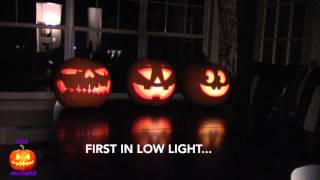 How To Make a Singing Pumpkins Halloween Display  Jack O Lantern Jamboree [upl. by Argus]