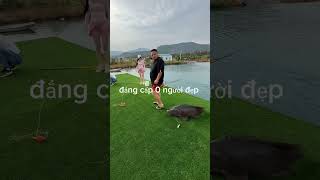 Bất ngờ chưa bà già cauca fishing short [upl. by Enaud]