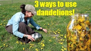 3 WAYS TO USE SPRING DANDELIONS  FORAGING [upl. by Leesa]