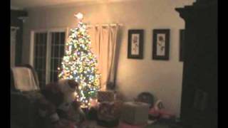 Santa caught on Video [upl. by Gabbie]