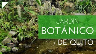 Así es el Jardín Botánico de Quito [upl. by Tichonn]