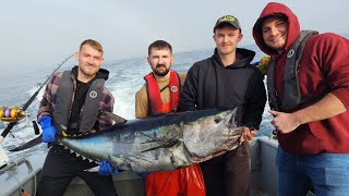 20231104 San Francisco California Dungeness Crab Season Opener Bluefin Tuna [upl. by Donaldson920]