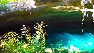 Lucayan National Park Grand Bahama Island [upl. by Scherle]