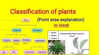 Classification of plants in Hindi  Cryptogam and Phanerogam plantclassification [upl. by Iew124]