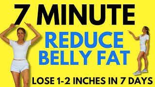 7 Minute Belly Fat Workout  7 Day Challenge  Start Today [upl. by Eirod]