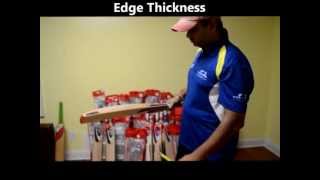 Puma Platinum 5000 Cricket Bat Review  CricMax httpwwwcricmaxcom [upl. by Bondy604]