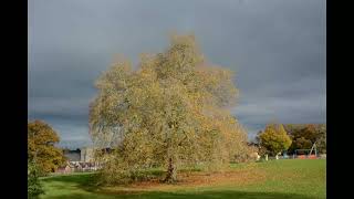 Autumn in Phear Park Exmouth [upl. by Yelahc685]