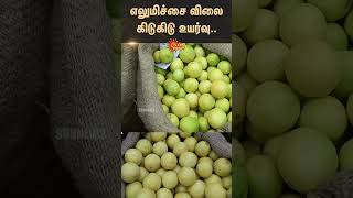 Lemon Price Rise  Oddanchatram Vegetable Market  Sun News [upl. by Alinoel716]