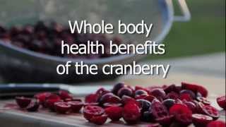 Whole Body Health Benefits of the Cranberry [upl. by Nikral]