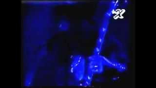 Slashs Snakepit  Buenos Aires 1995 FULL SHOW  RARE [upl. by Avevoneg493]