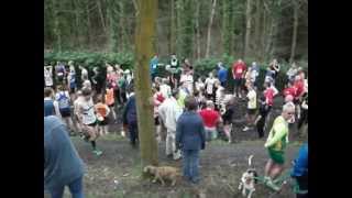 Guiseley Gallop 2012wmv [upl. by Drofhsa]