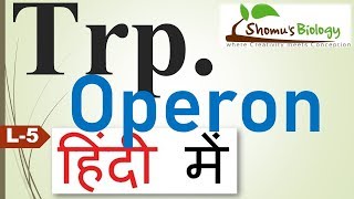 Tryptophan operon in Hindi Trp operon [upl. by Alby]