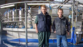 50 Point Rotary Milking Parlour Netherlands [upl. by Yror348]