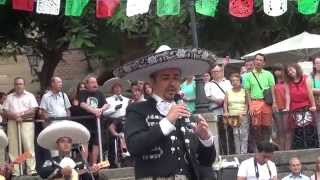 Mariachis en Barcelona La Malagueña José González Grito Independencia Mexicana 2014 [upl. by Katalin16]