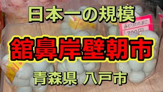 【八戸舘鼻岸壁朝市】日本最大級の市場‼朝一からヤバい⁉ [upl. by Essa]