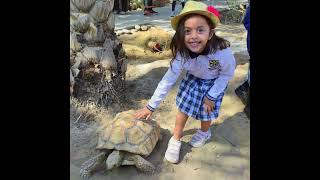 Beaconhouse Al Khuwair Kindergarten School Trip [upl. by Aliekat955]