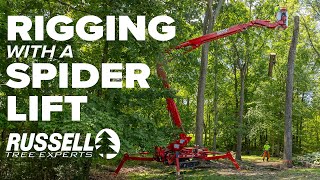 Rigging Tree Limbs with a Spiderlift [upl. by Berlin]