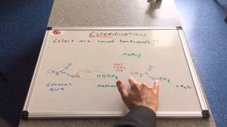 Esterification [upl. by Burrton711]