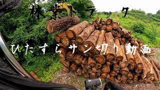 「林業トラック」ひたすらサン切りをする動画4K [upl. by Eillam]