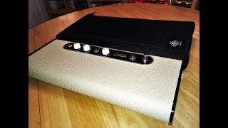 Surfy Industries  SurfyBear Pedal  Spring Reverb  Demo and Review [upl. by Det624]