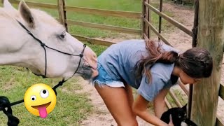 FUNNIEST Farm Animals 😂  Best Videos for families [upl. by Ayortal]