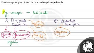 Proximate principles of food include carbohydratesminerals \ \ma [upl. by Aiyekal]