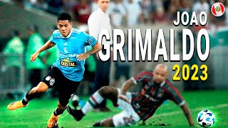 ASÍ JUEGA JOAO GRIMALDO  Mejores Jugadas ● 2023ᴴᴰ [upl. by Thaine819]