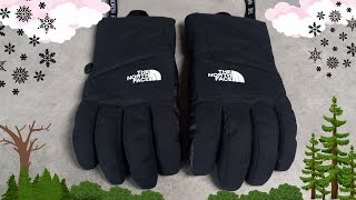 Montana Ski Gloves from The North Face [upl. by Mazman]