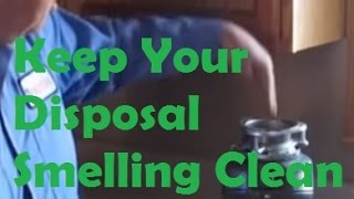 Clean Smelling Garbage Disposal How to Keep Garbage Disposals from Smelling amp How to Clean Them Out [upl. by Beverlie]