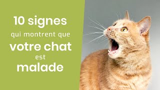 10 SIGNES QUI MONTRENT QUE VOTRE CHAT EST MALADE [upl. by Terle]