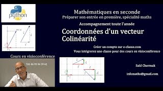 MATHÉMATIQUES EN SECONDE COORDONNÉES DUN VECTEUR [upl. by Azarcon157]