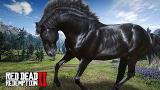 Em busca do CORCEL NEGRO  O Cavalo Frísio  Red Dead Redemption 2 [upl. by Lucine]